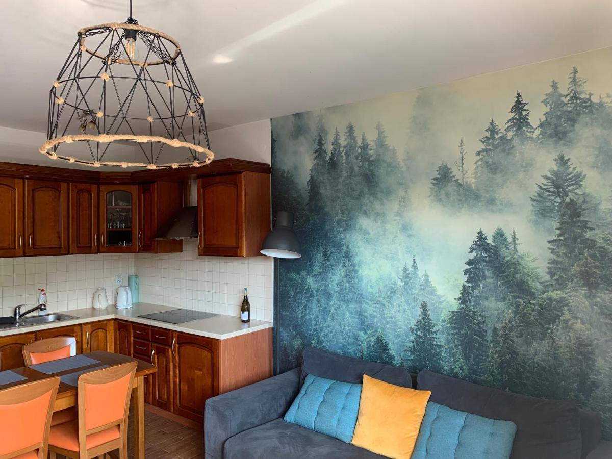 Apartament Na Wzgorzu 비스와 외부 사진